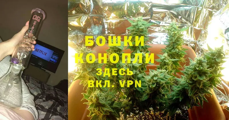 Шишки марихуана THC 21%  купить наркотик  Нефтегорск 